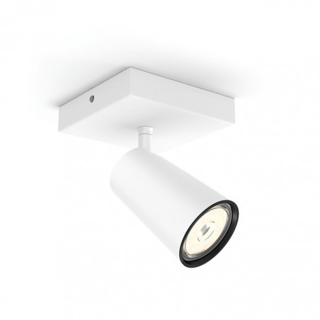 Philips PAISLEY Reflektorsko svjetlo 5057131PN