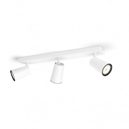 Philips PAISLEY Reflektorsko svjetlo 5057331PN