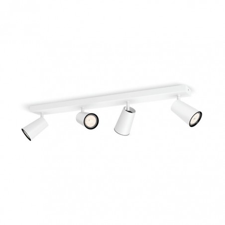Philips PAISLEY Reflektorsko svjetlo 5057431PN
