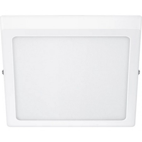 Philips MAGNEOS SF DL252 SQ 210 12W 40K WH 06 stropno svjetlo