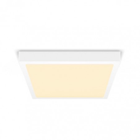 Philips MAGNEOS SF DL252 SQ 210 12W 27K WH 06 stropno svjetlo