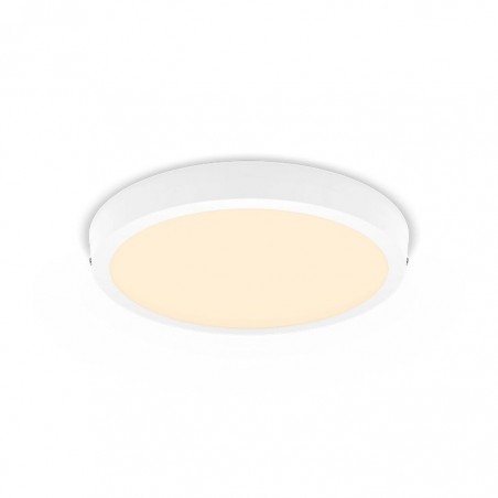 Philips MAGNEOS SF DL252 RD 210 12W 27K WH 06 stropno svjetlo