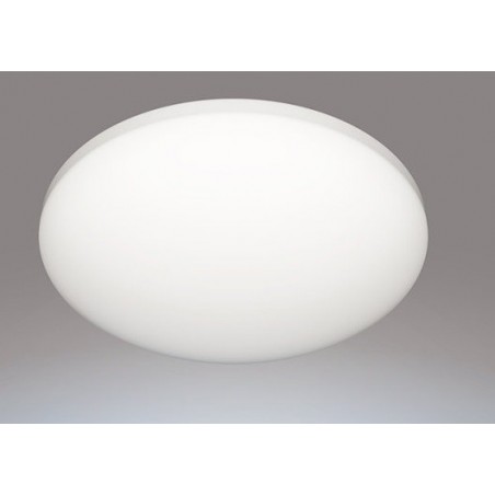 Philips CL251 stropna svjetiljka 8718699680619