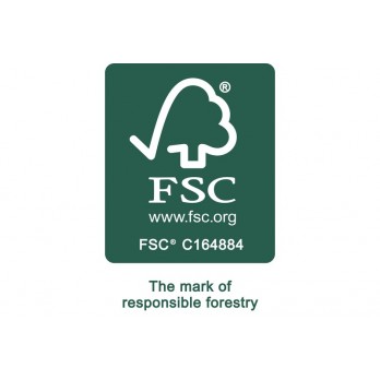 Festool Turbo filter bag TF-RS 400/5
