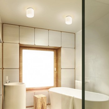 Rendl Light ARANA R 17 stropna svjetiljka opalno staklo/krom 230V LED E27 11W IP44