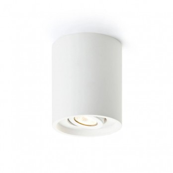 Rendl Light COLES podesiva stropna svjetiljka gips 230V GU10 15W